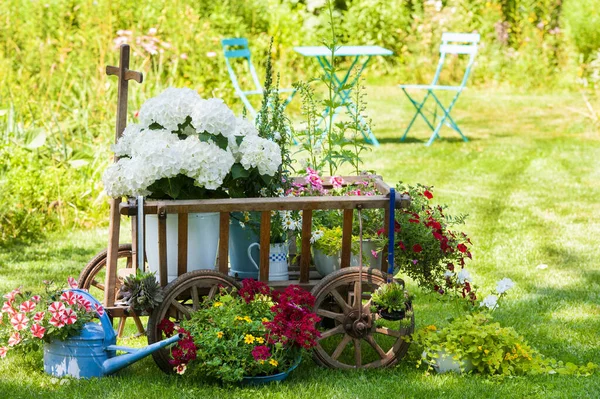 Carrello Legno Con Fiori Giardino — Foto Stock