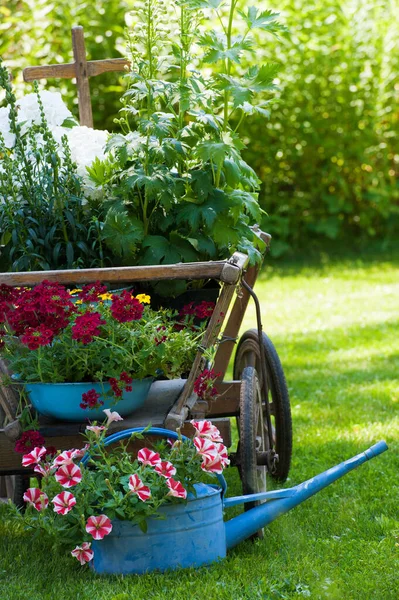 Trä Vagn Med Blommor Trädgård — Stockfoto