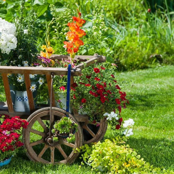 Carrinho Madeira Com Flores Jardim — Fotografia de Stock