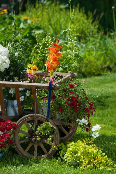 Carrinho Madeira Com Flores Jardim — Fotografia de Stock