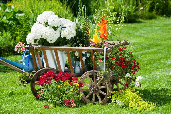 Carrinho Madeira Com Flores Jardim — Fotografia de Stock