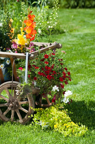 Carrinho Madeira Com Flores Jardim — Fotografia de Stock