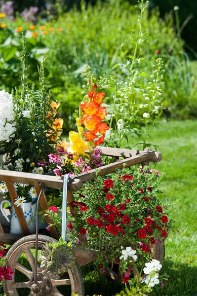 Chariot Bois Avec Fleurs Dans Jardin — Photo