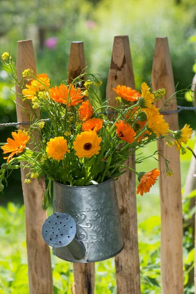 Blumenstrauß Auf Gartenzaun — Stockfoto