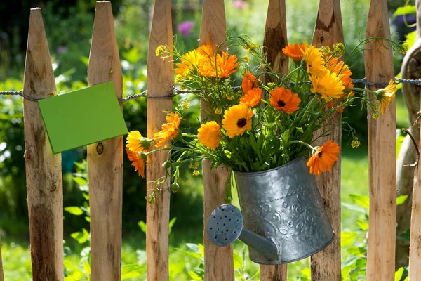 Цветочный Букет Заборе — стоковое фото