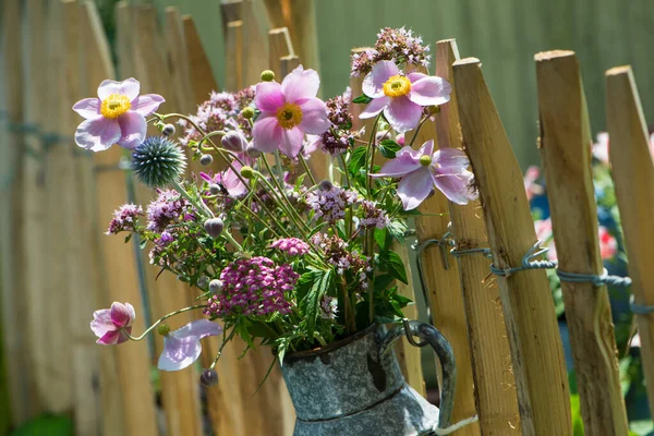 Summer flowers on a garden fence