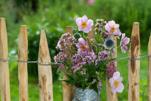 花园篱笆上的花束 免版税图库图片