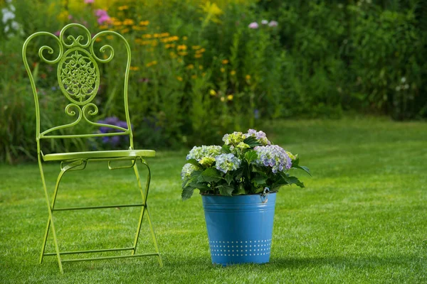 Gardenchair Avec Hortensia Dans Jardin — Photo