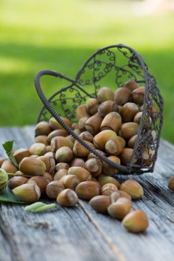 Küçük bir sepetin içinde fındık