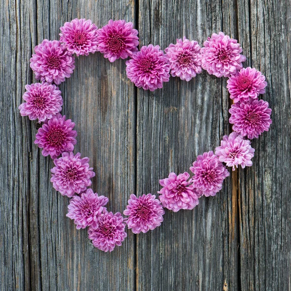 Сердце Хризантемы Цветы Деревянном Фоне — стоковое фото