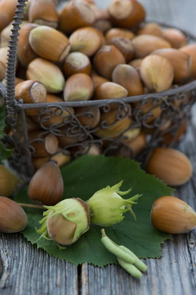 Hazelnut Dalam Keranjang Kecil — Stok Foto