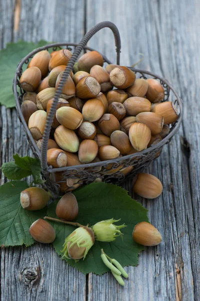 Hazelnut Dalam Keranjang Kecil — Stok Foto