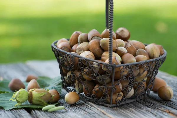 Hazelnut Dalam Keranjang Kecil — Stok Foto