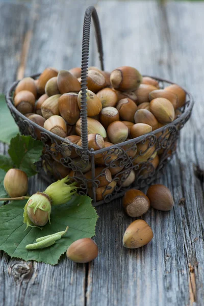 Hazelnuts Little Basket — Stock Photo, Image