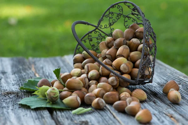 Hazelnuts Little Basket — Stock Photo, Image