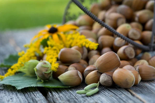 Hazelnuts Wooden Background — Stock Photo, Image