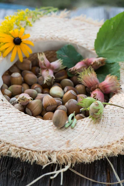 Straw Hat Hazelnuts — Stock Photo, Image