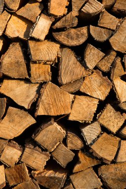 Odun yığını resmi dolduruyor