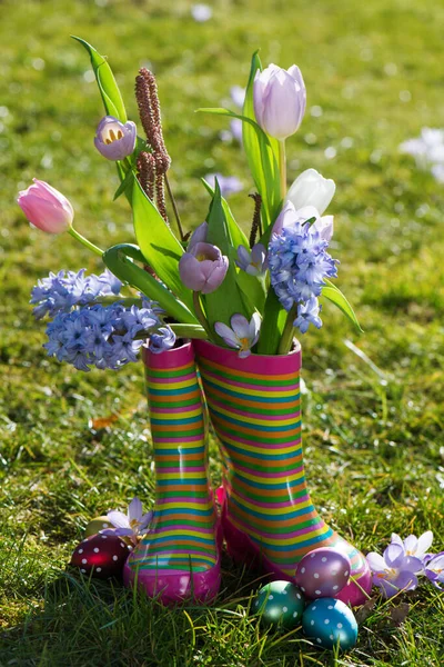 Vårblommor Låda — Stockfoto