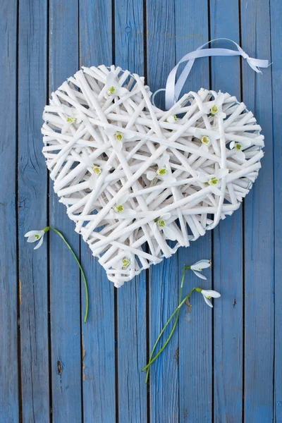 Heart Snowdrop Blossoms Wood Background — Stok Foto