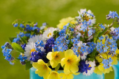 Bahar çiçekleriyle sulanan küçük teneke kutu