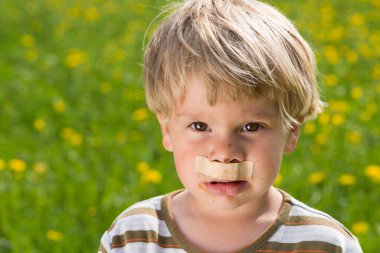 # Çiçek tarlasında cüce tavşan #