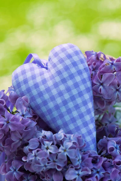 Фиолетовый Сирень Сердцем — стоковое фото