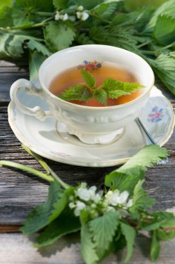 Fincanda ısırgan otu çayı.