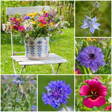 Bahçeden farklı çiçek fotoğraflarıyla kolaj.