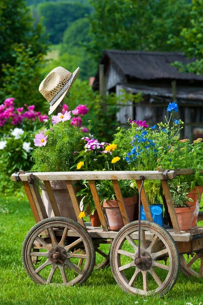 Starý Dřevěný Vozík Idylické Zahradě — Stock fotografie