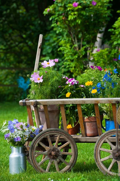 Oude Houten Kar Een Idyllische Tuin Rechtenvrije Stockfoto's