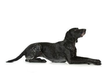 Beyaz arkaplanda Almanca kısaltılmış imleç