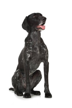 Beyaz arkaplanda Almanca kısaltılmış imleç