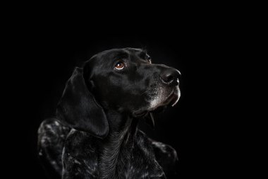 Siyah arkaplanda Almanca kısaltılmış imleç