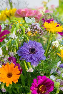 Bahçedeki renkli yabani çiçek buketi