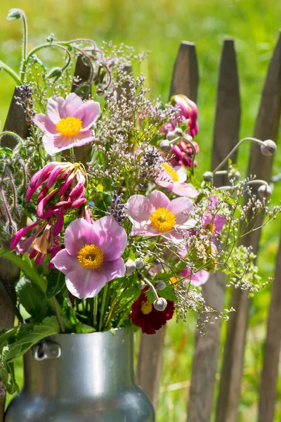 Fleurs Été Dans Jardin — Photo