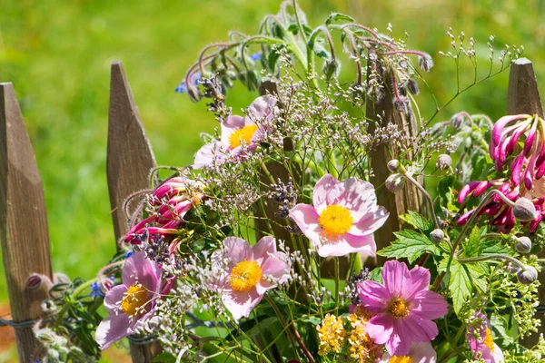 Summer flowers in a garden