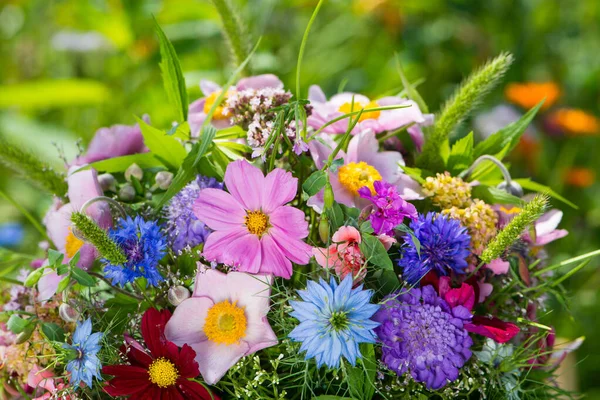 Flores Silvestres Coloridas Una Olla — Foto de Stock