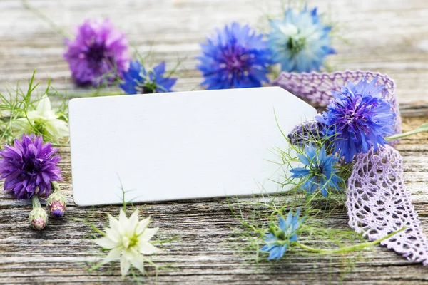 Nigella Fleurit Avec Signe — Photo