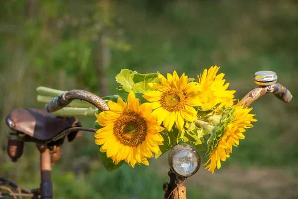 Altes Fahrrad Mit Sonnenblumen — Stockfoto