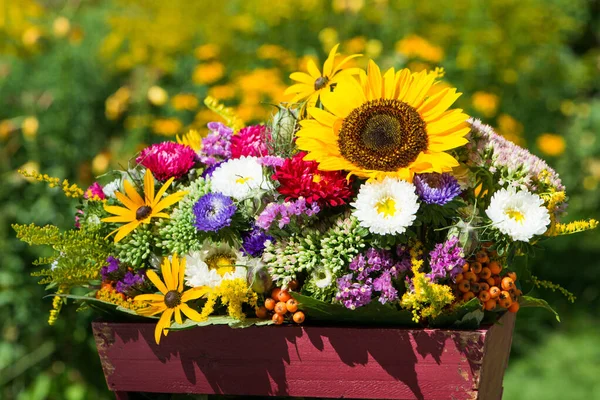 Bunte Herbstliche Blumenarrangements Garten — Stockfoto