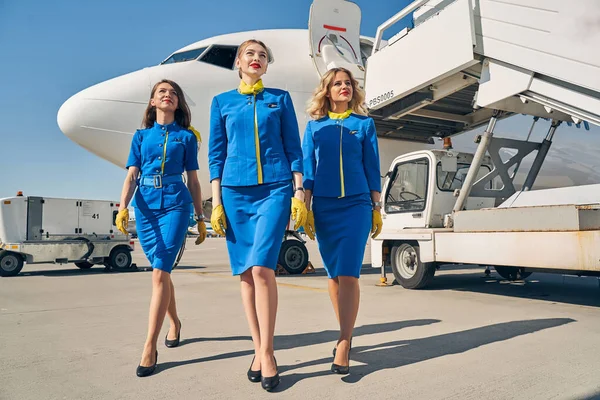 Высокие элегантные стюардессы, идущие по аэродрому — стоковое фото
