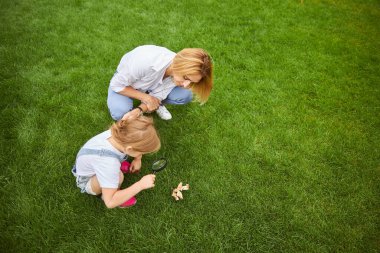 Büyüleyici bir kadın açık havada ağaç yaprağını keşfetmeye yardım ediyor.
