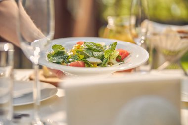 Domates ve biberli yeşil salata resmi