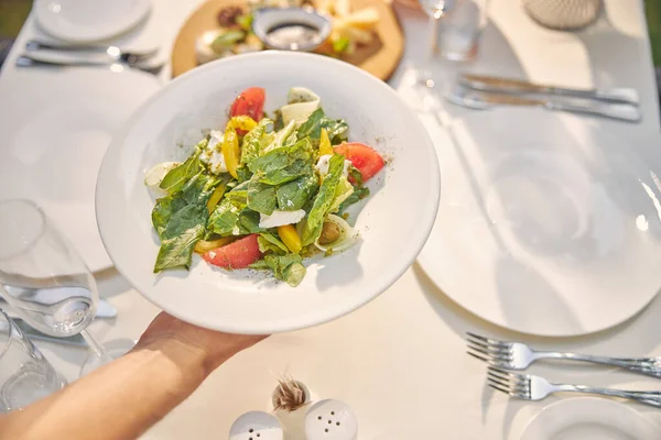 Зображення сумішного салату з соусом і помідорами — стокове фото