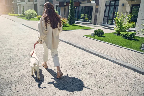 Femme propriétaire et son chien marchant ensemble — Photo