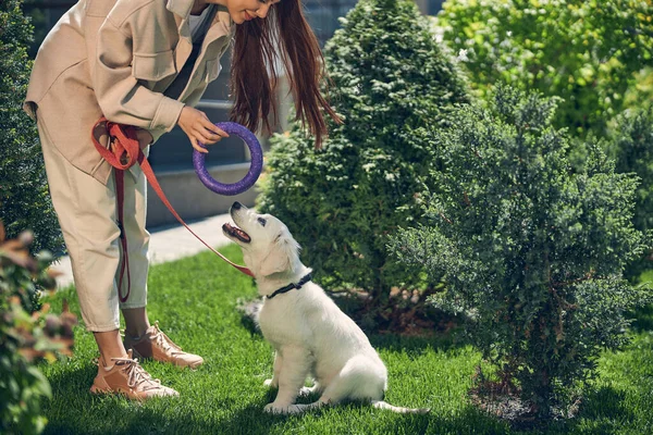 Mujer con un anillo extractor entrenando a su mascota — Foto de Stock