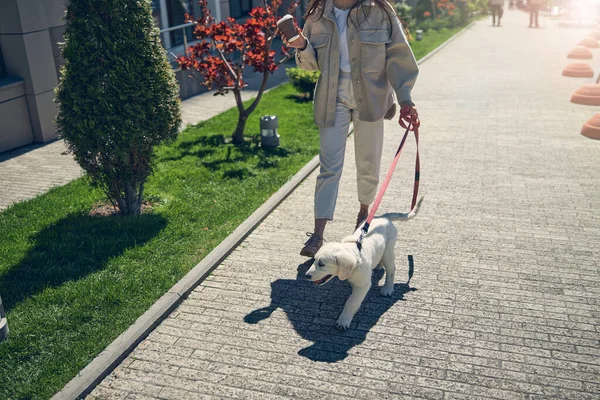 Mujer con una taza de café paseando a su mascota —  Fotos de Stock