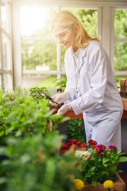 Elinde büyüteçle bitkilere bakan bir kadın.