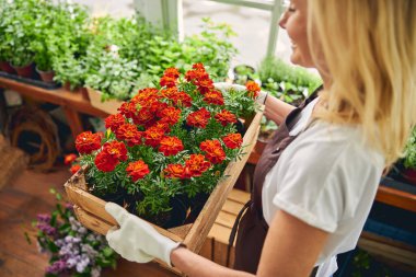 Beyaz kadın botanikçi. Süs bitkileriyle ilgileniyor.